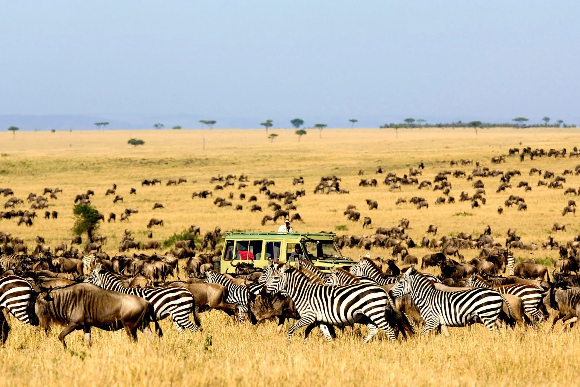 Kidepo Valley National Park